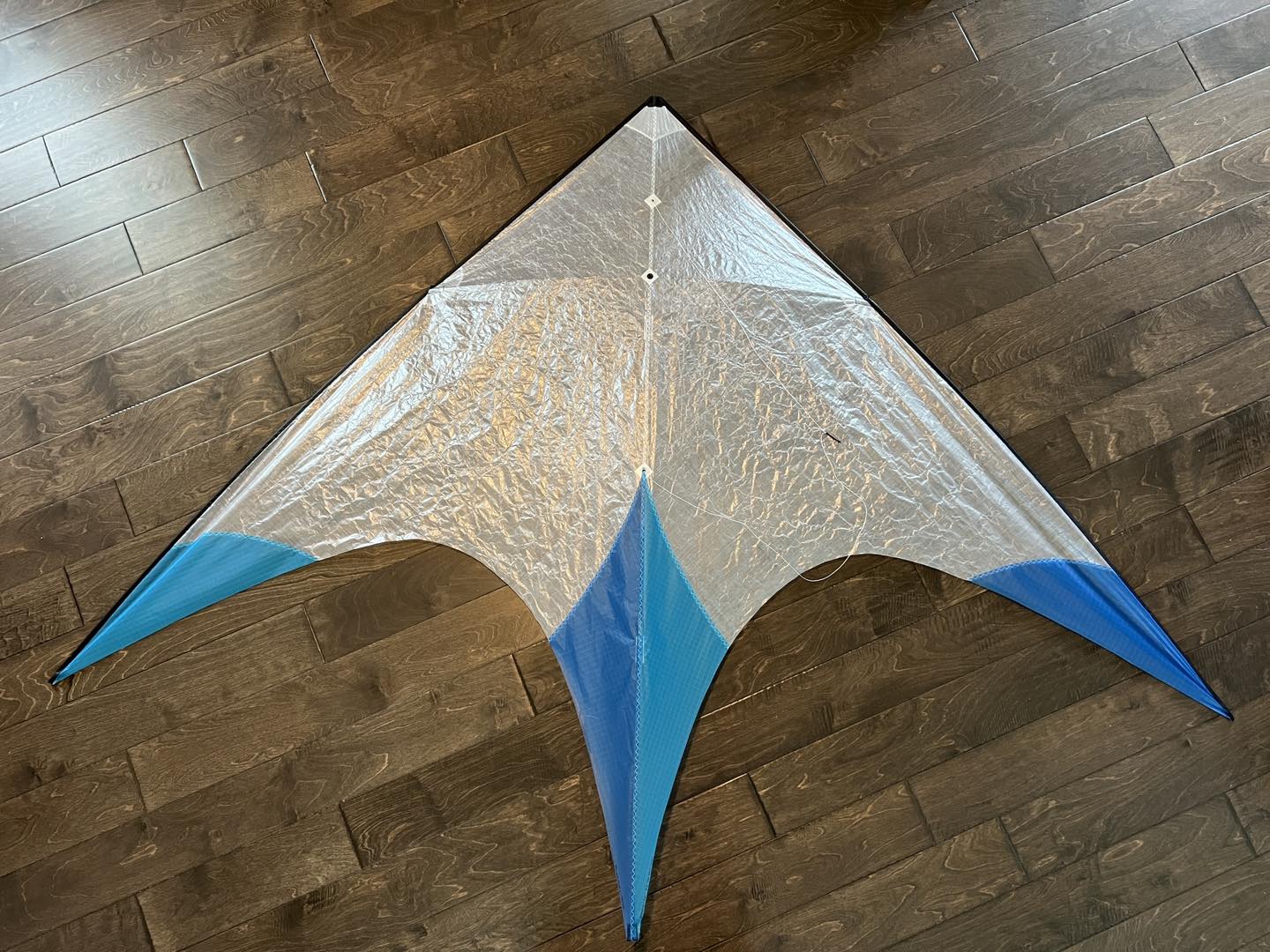 Focus Kite Designs