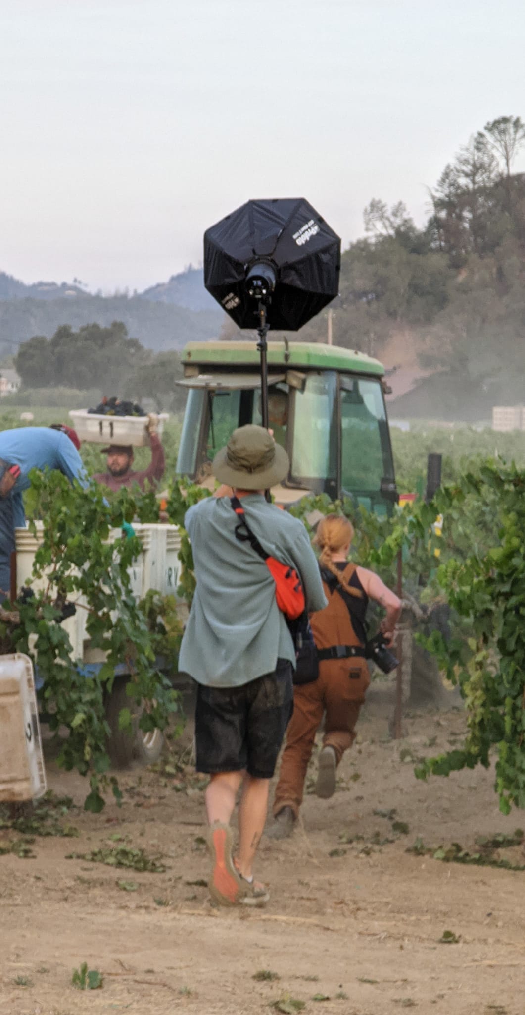 Frediani Vineyards | Calistoga CA