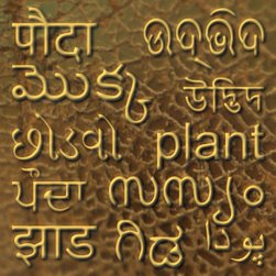 Discussing Names of Plants in India