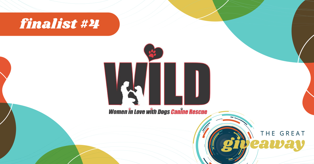 WILD Canine Rescue | Springfield IL