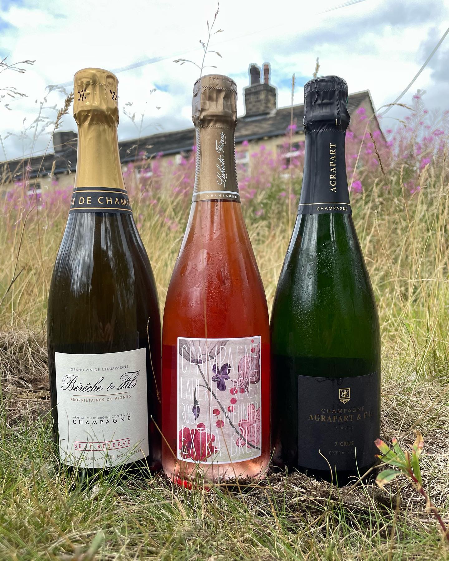 Rutat Rene champagne available at Satellite Lounge