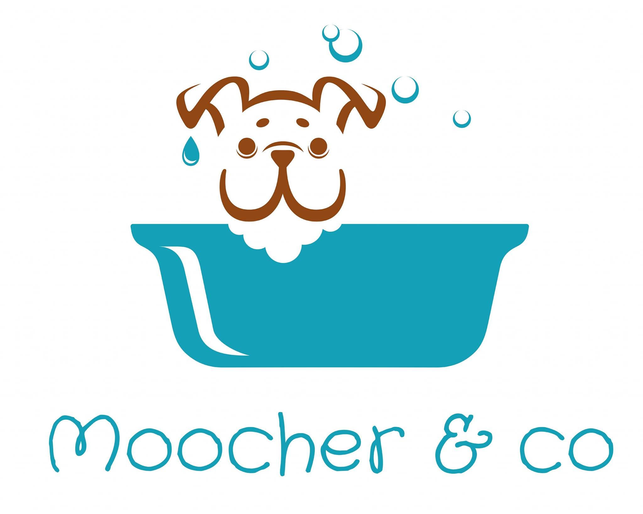 Moocher & co | Bracknell