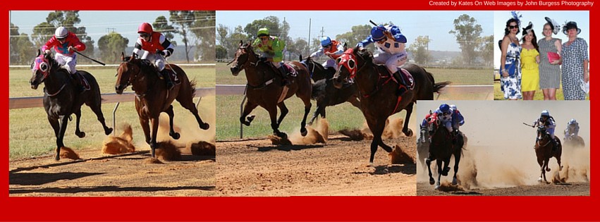 Narrabri Jockey Club Inc