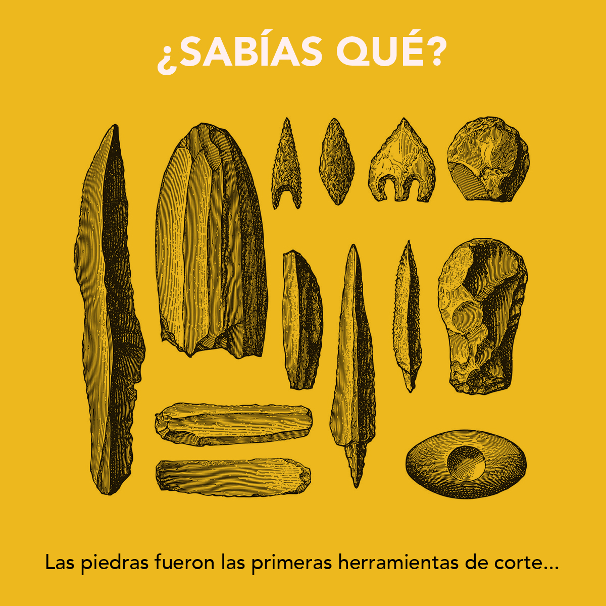 Acortec - Las piedras fueron las primeras herramientas, como se vio ...
