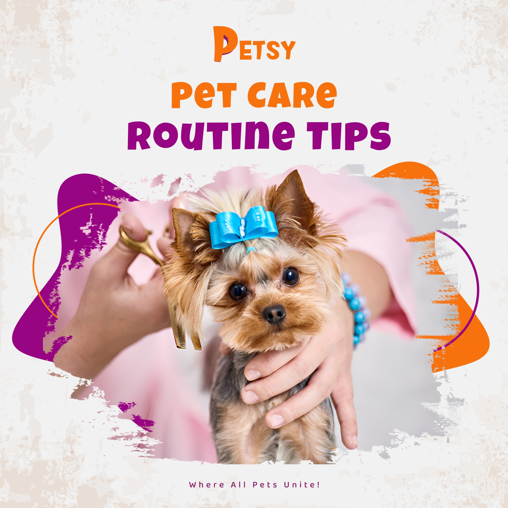 Petsy