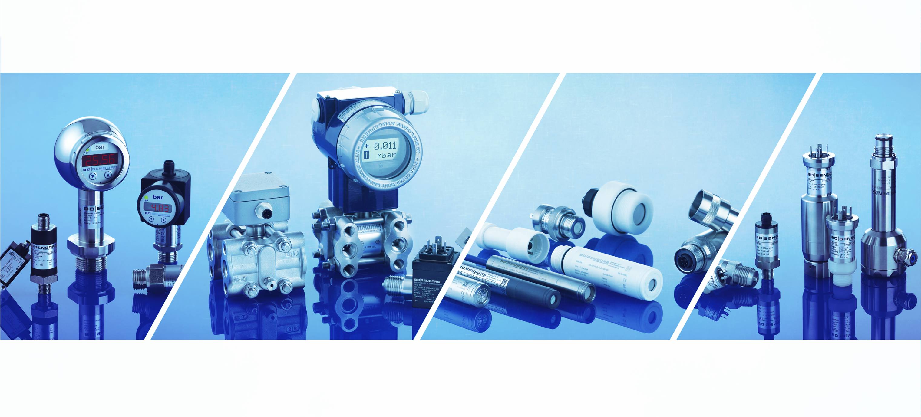 BD SENSORS | Buchlovice