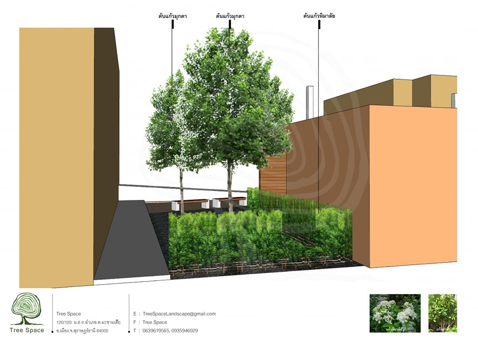 Tree Space Landscape Design รับออกแบบ จัดสวน สุราษฎร์ธานี | Surat Thani