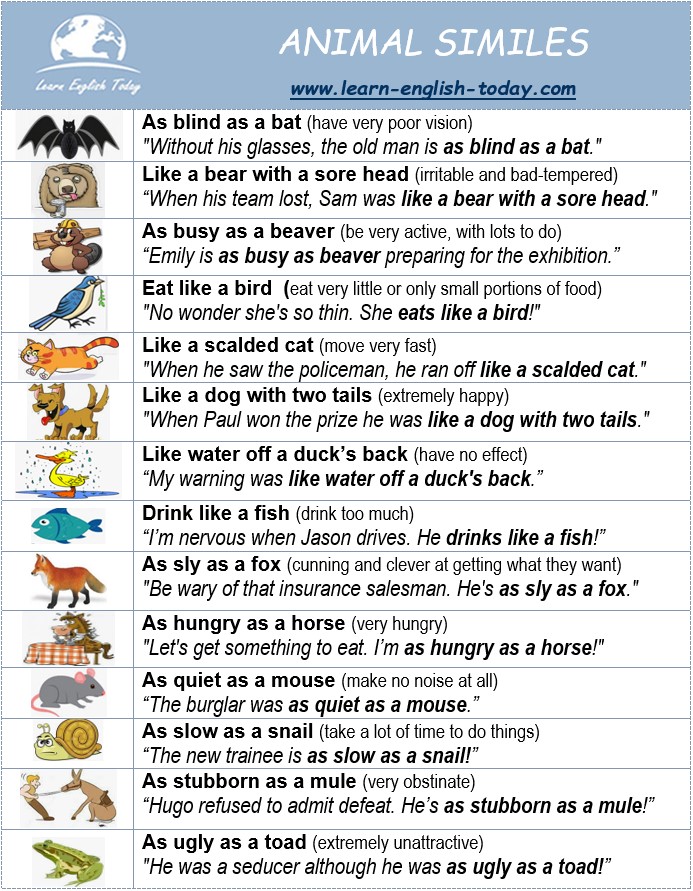 ANIMAL SIMILES: Comparisons with... - Learn English Today.com | Facebook