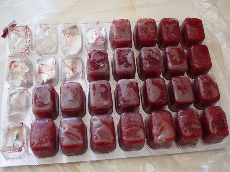 百寶魚水族交流區 如果百寶魚進 高夠力 Uv冷凍赤蟲魚友蝦友們會有興趣嗎 Facebook