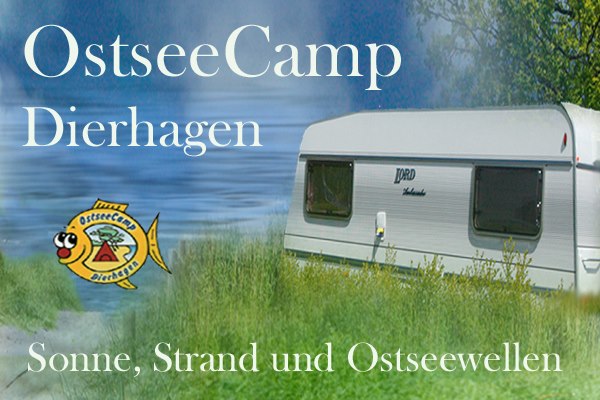 klebefilz camper Mbsomnus Filz Selbstklebend 230cmx20cmx1mm Selbstklebend Schwarz color-stealth-grey Variante:Punkt Lenker Motocross Aluminium mit