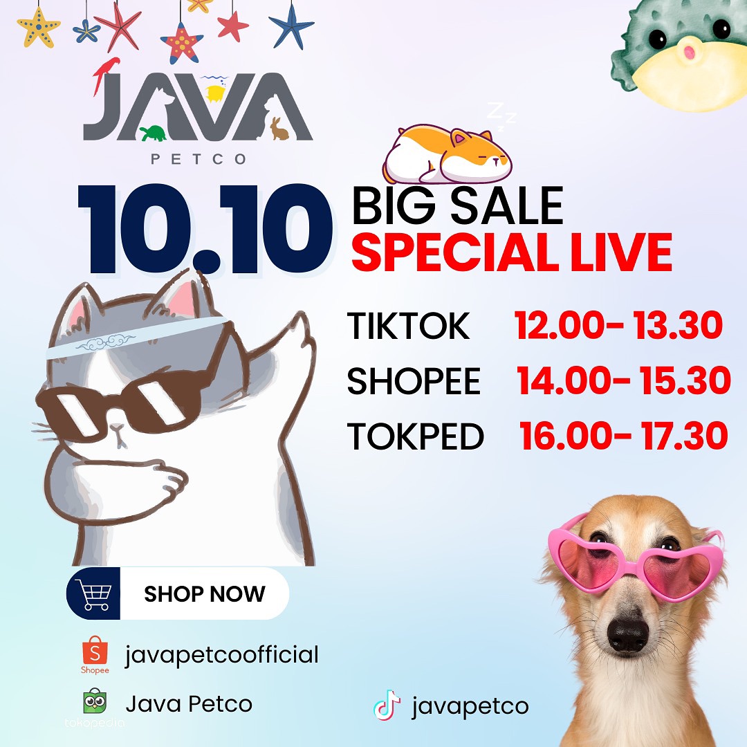 JAVA Pet & Company | South Jakarta