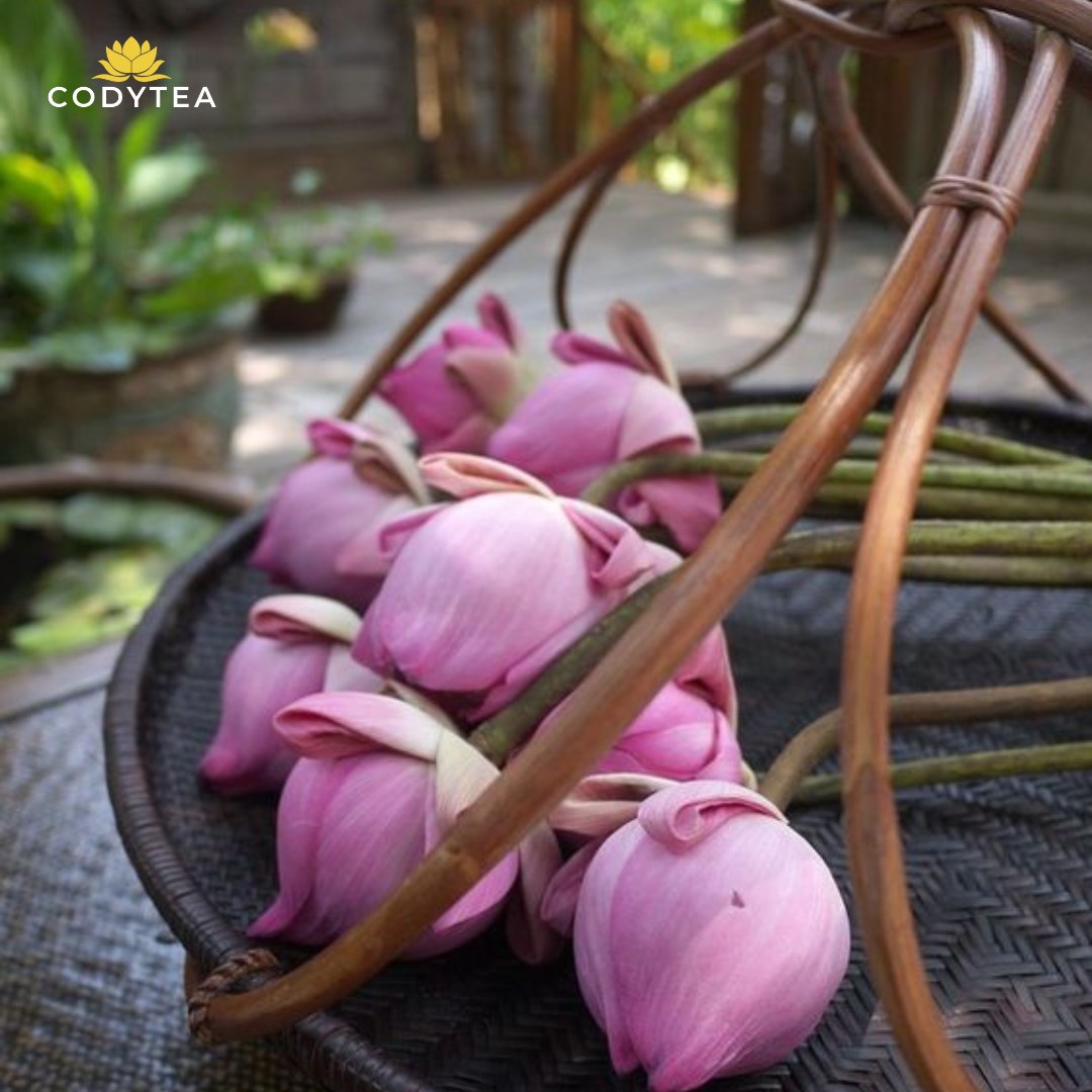 🪷 HOA SEN - VẺ ĐẸP THANH CAO VÀ BIỂU... - Codytea Việt Nam | Facebook