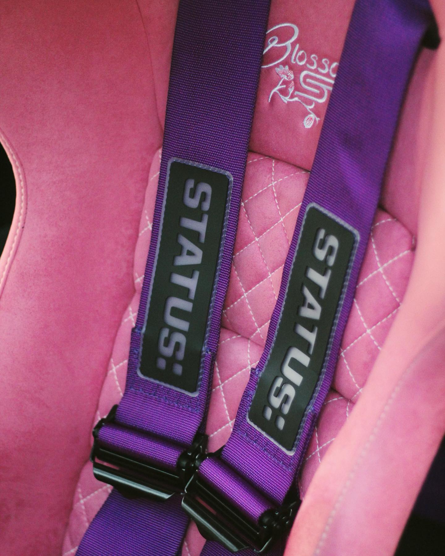 Status Racing - PURPLE HARNESSES ARE HERE! ⚡️👌🏼 And guess...