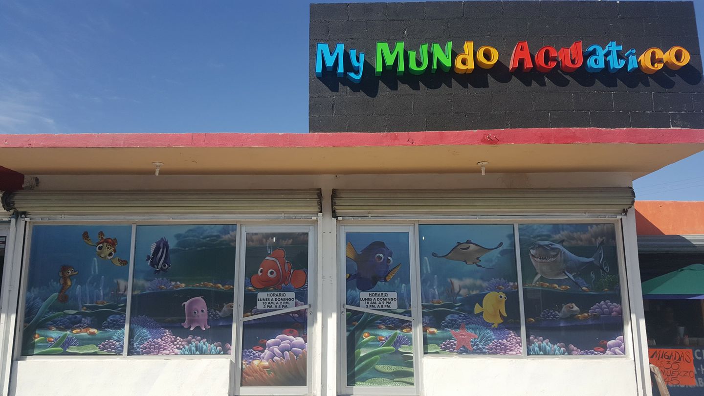 My Mundo Acuatico | Reynosa