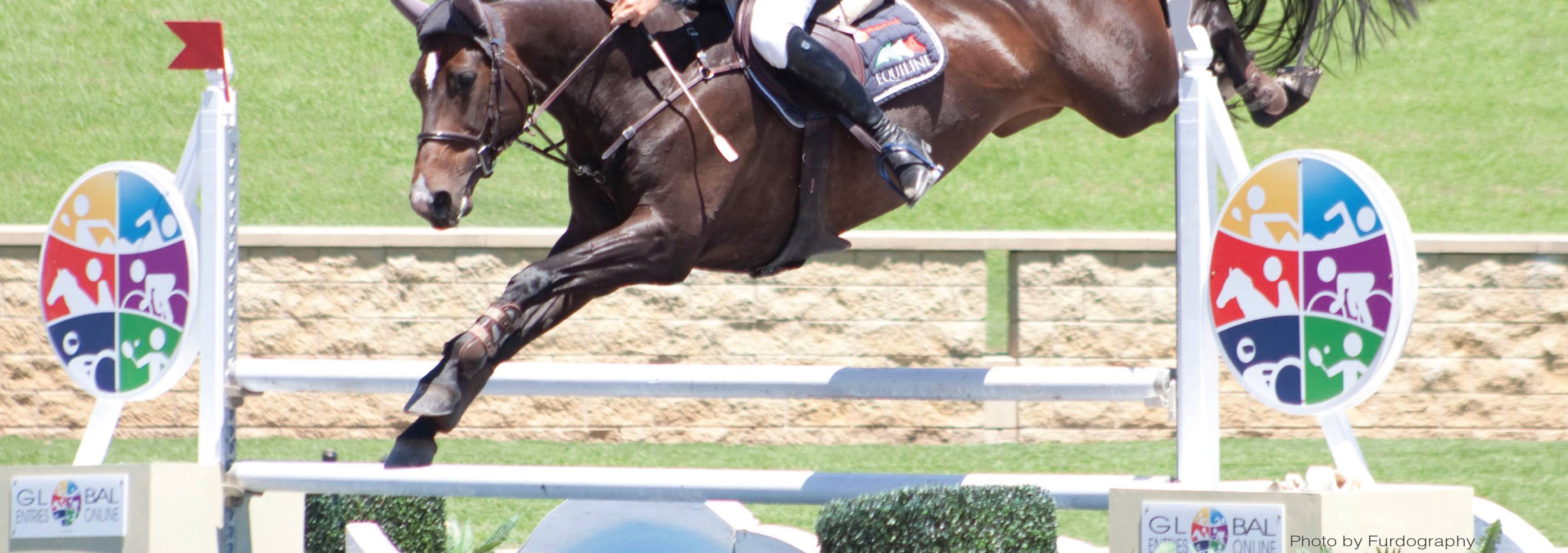 Global Entries Online | Ultimo NSW