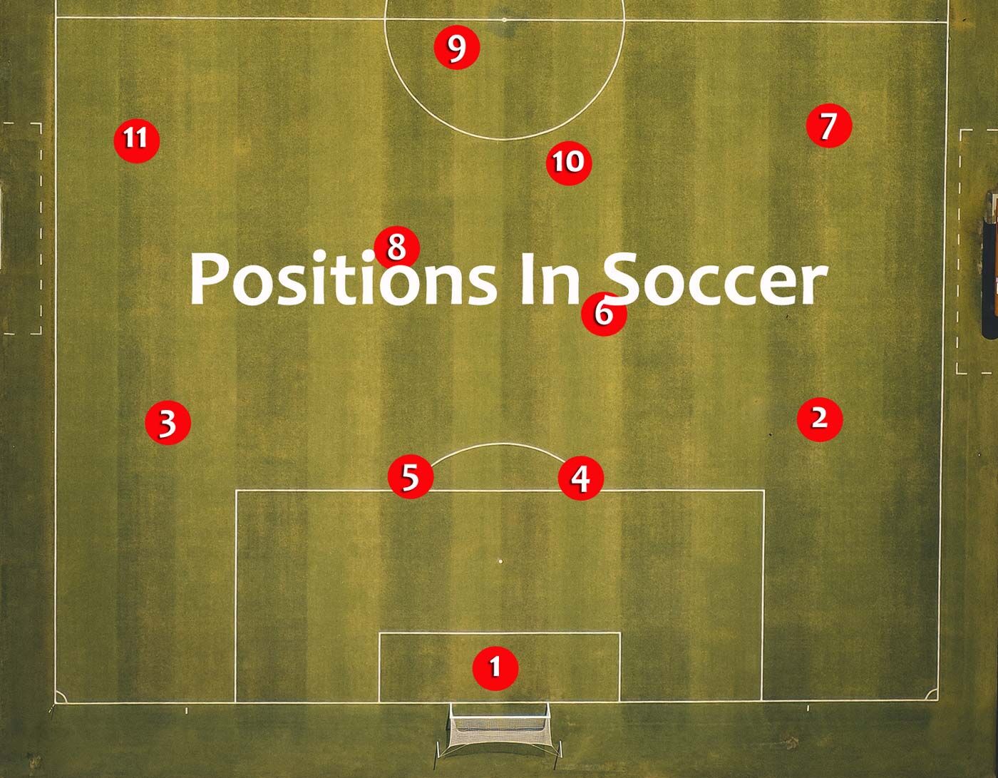 The Soccer Handbook - Do you know the positions and their numbers in ...