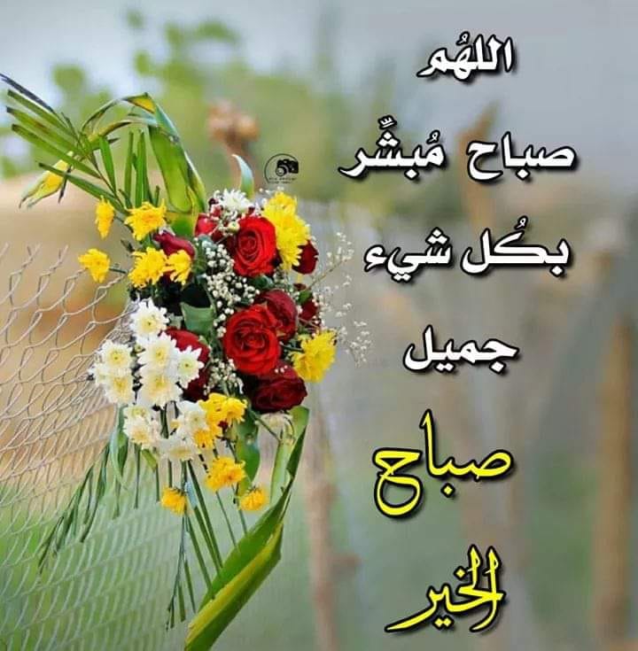 تطبيق اسعار العملات Dei اللهم صباح مبشر بكل شئ جميل صباح الخير Facebook