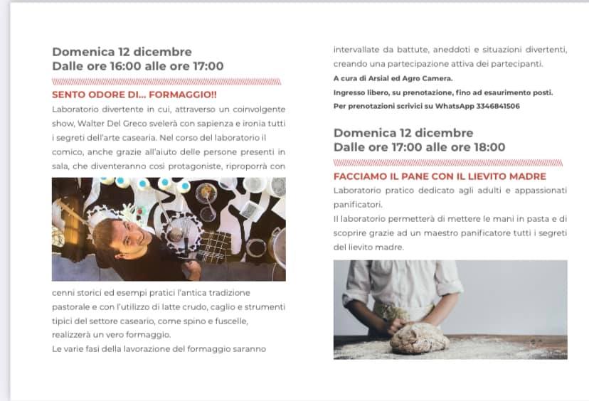 Senti odore di formaggio in casa? Ecco perché succede e come rimediare