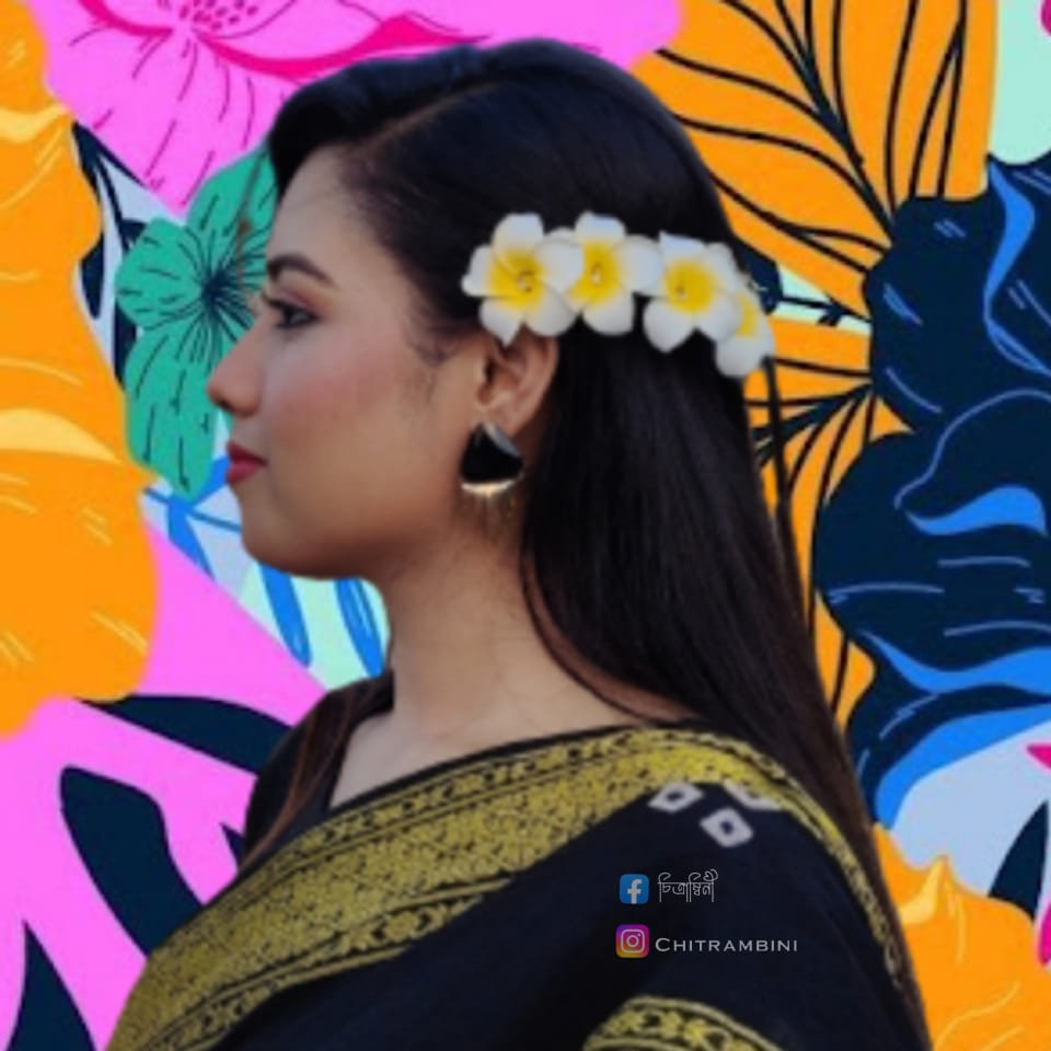 চিত্রাম্বিনী