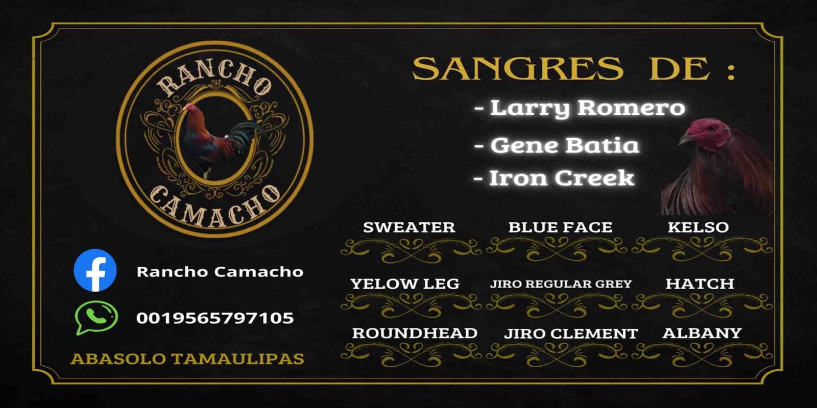 Rancho Camacho | Abasolo