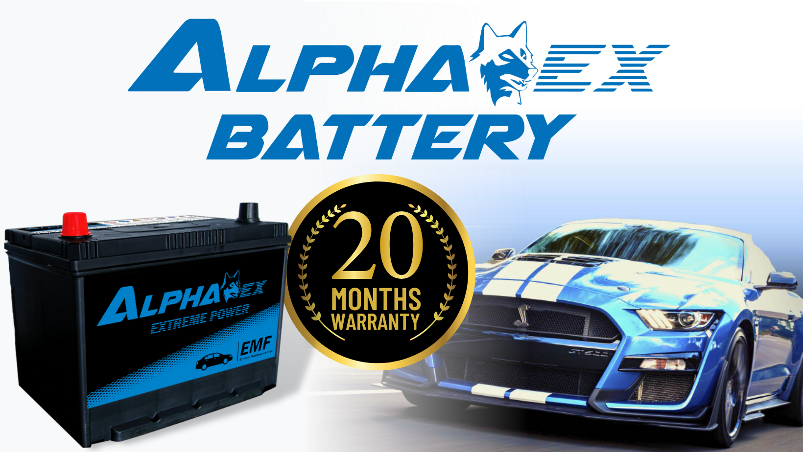 Alpha EX Battery