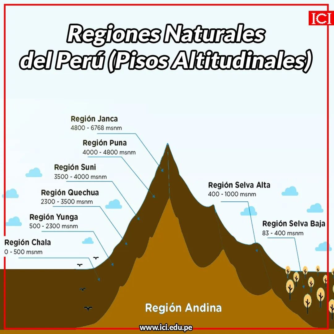 ICI - #ICITEDICE #Regiones #peru Sabias cuales son las 8 regiones ...