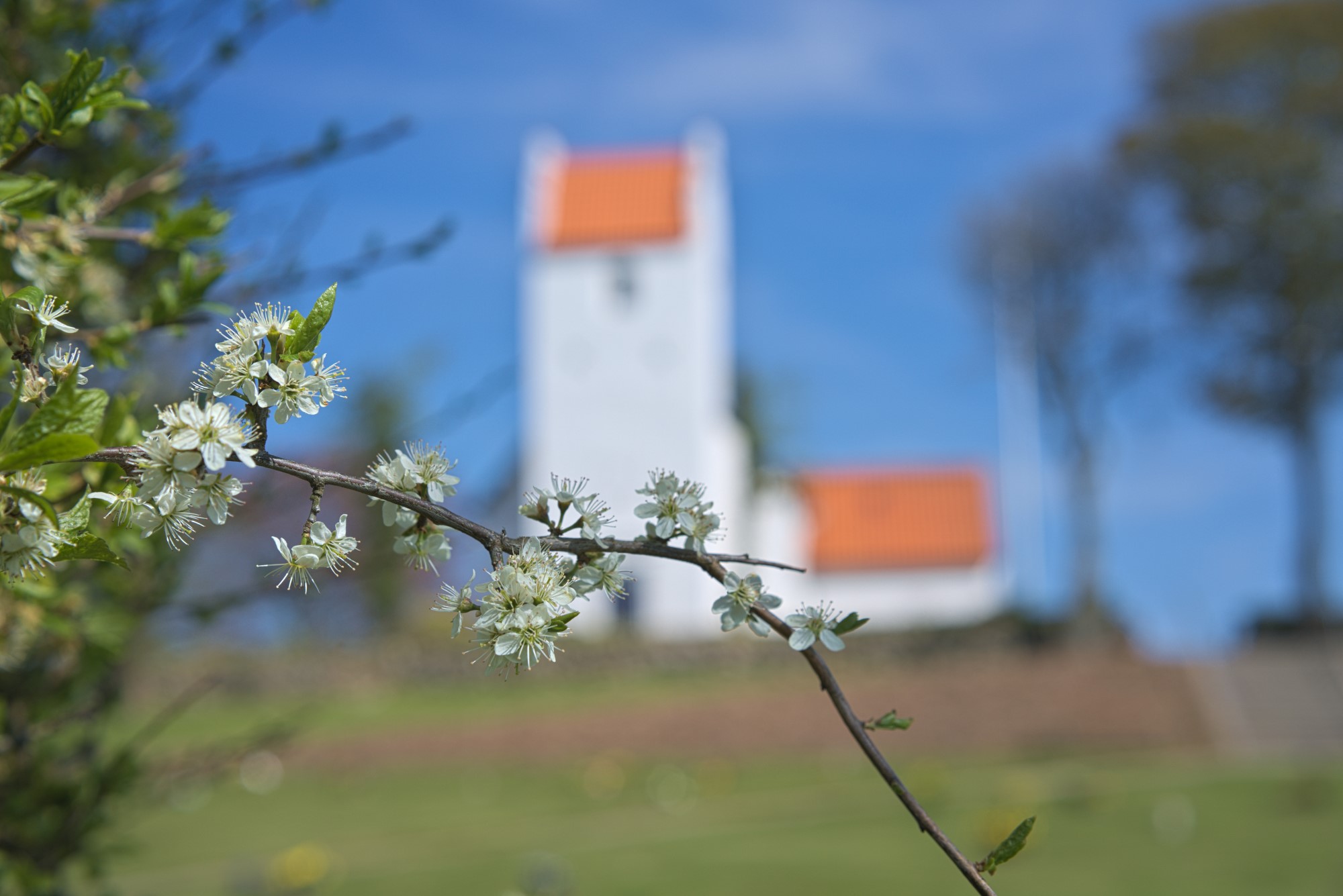 Elsted Kirke - Home
