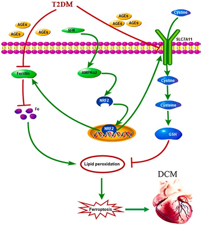 Gallery Detail: Congratulations To Dr Lu Cai For His Recent Publication Entitled