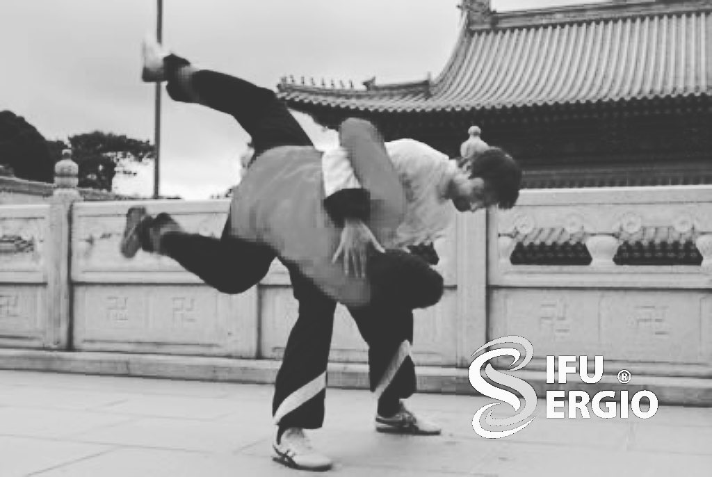 Sifu - Throwing techniques are also an important part off my internal ...