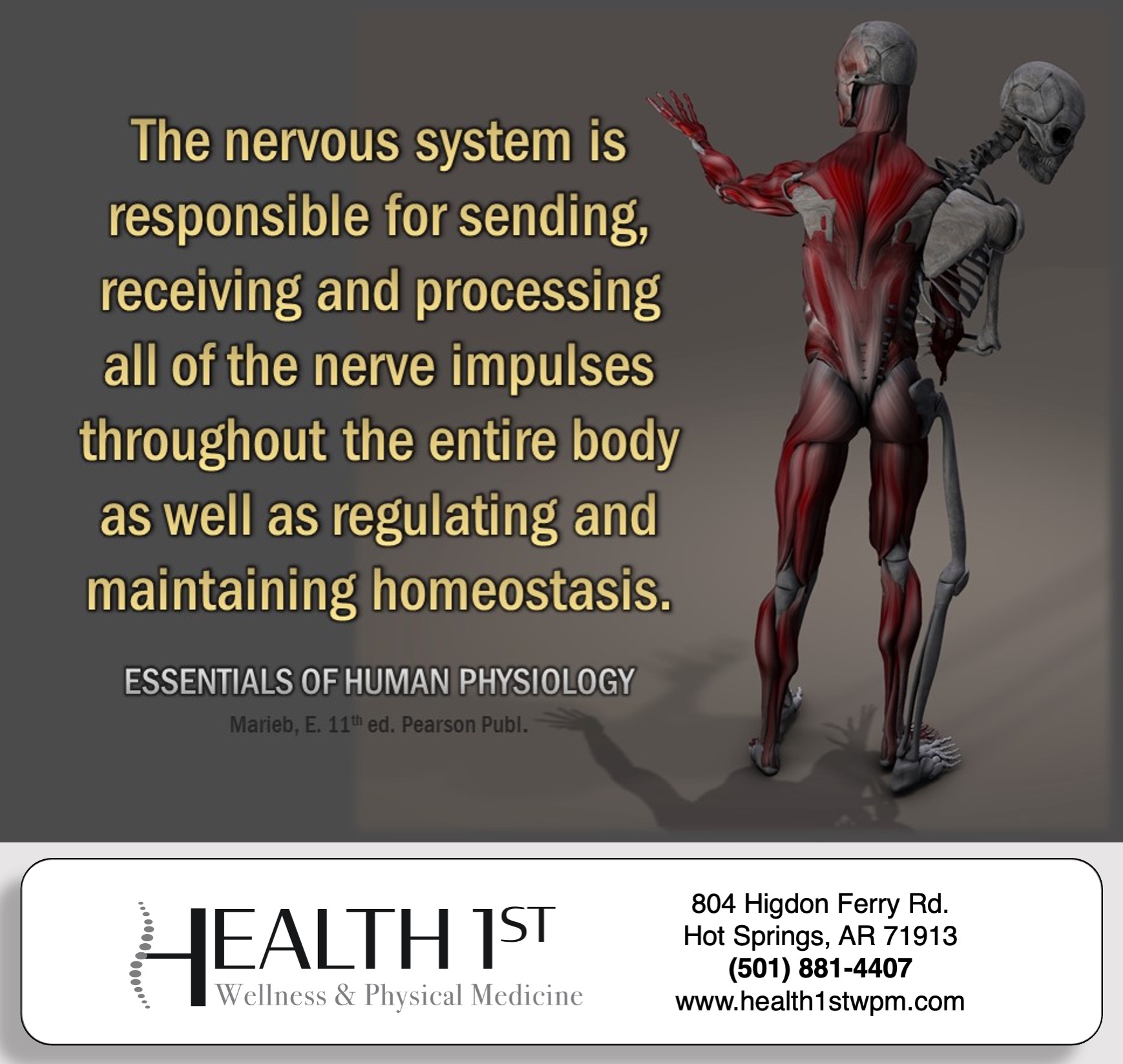 Health - #nerves #nerve #nervoussystem #homeostasis #neurons #health # ...