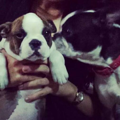Rondo and Bella