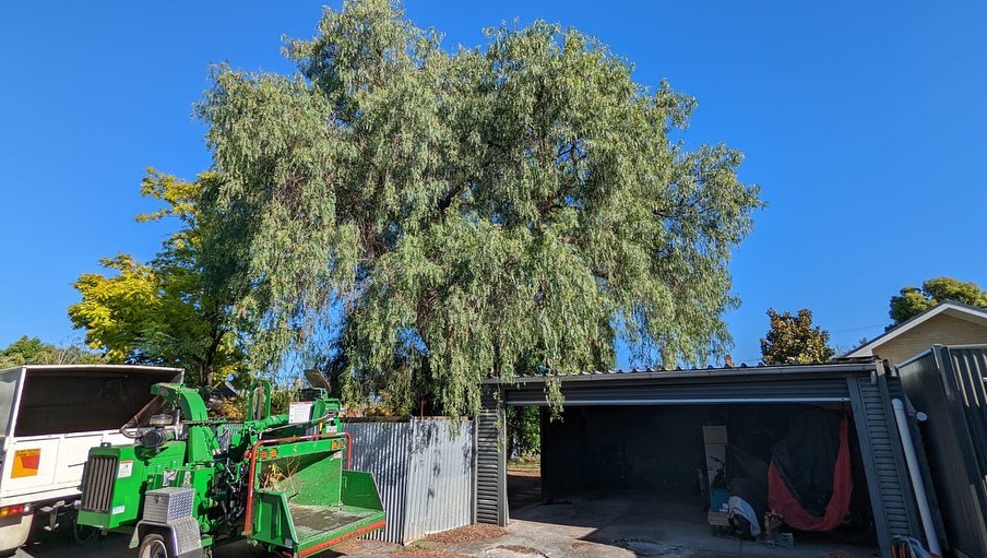 Embark Tree Services
