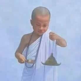 ဖိုးသူတော်တိုင်းရင်းဆေးပညာ