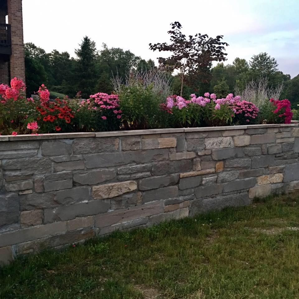⁉️Not sure where to start with your... - Kenworthy Lawn Care | Facebook