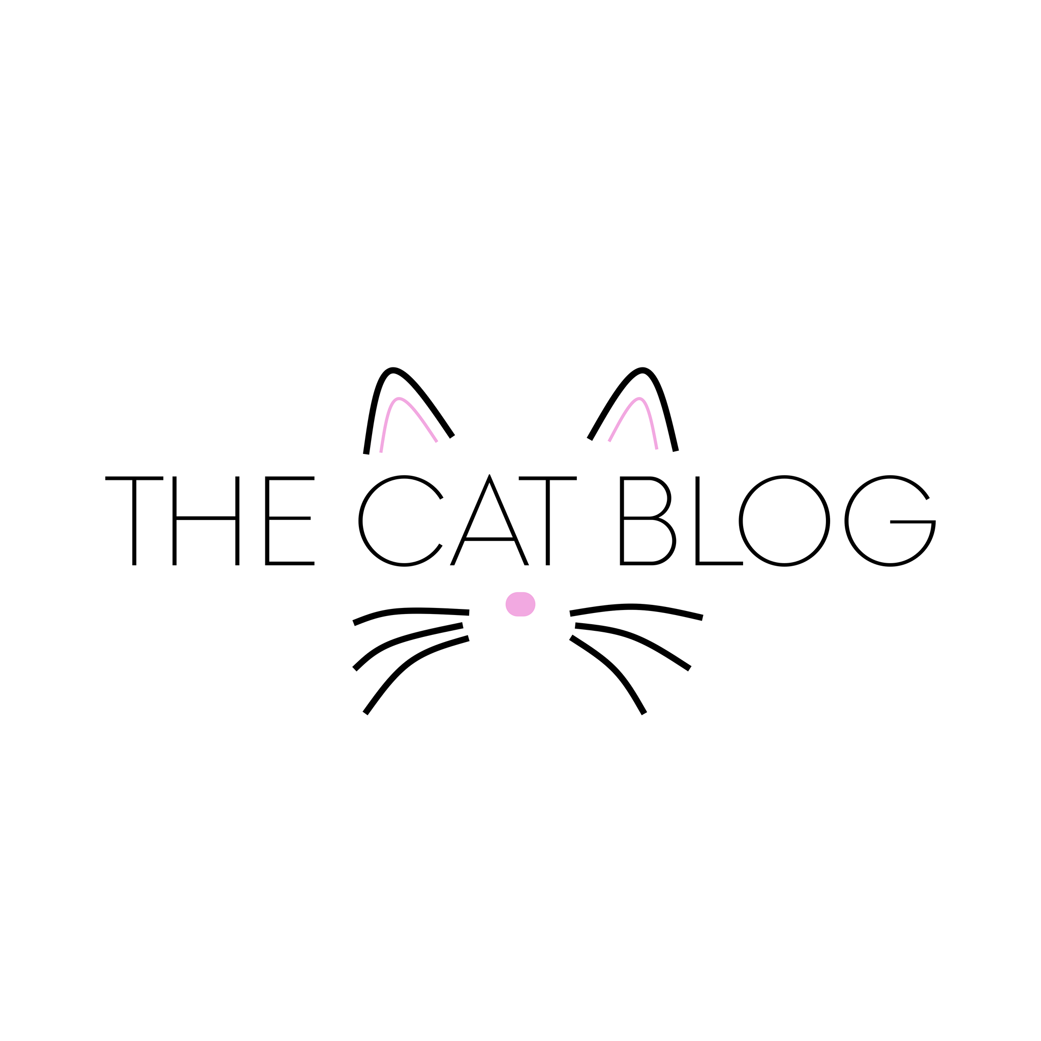 The Cat Blog