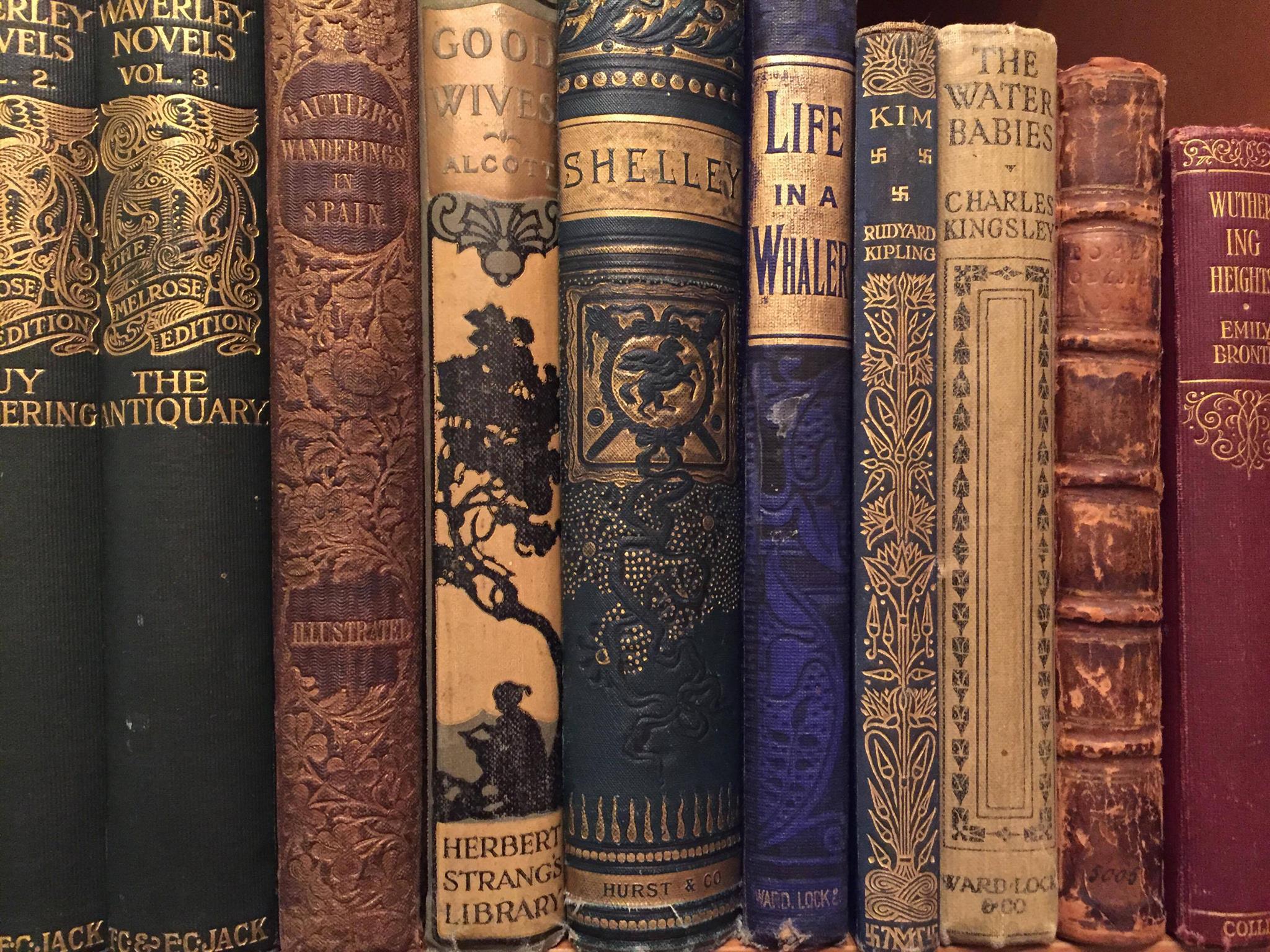 Kiss the Librarian - Vicki Vrint