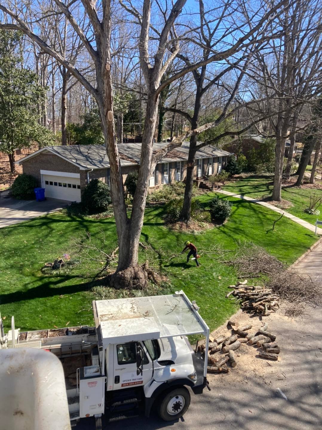 Upstate Tree Care LLC | Greenville SC