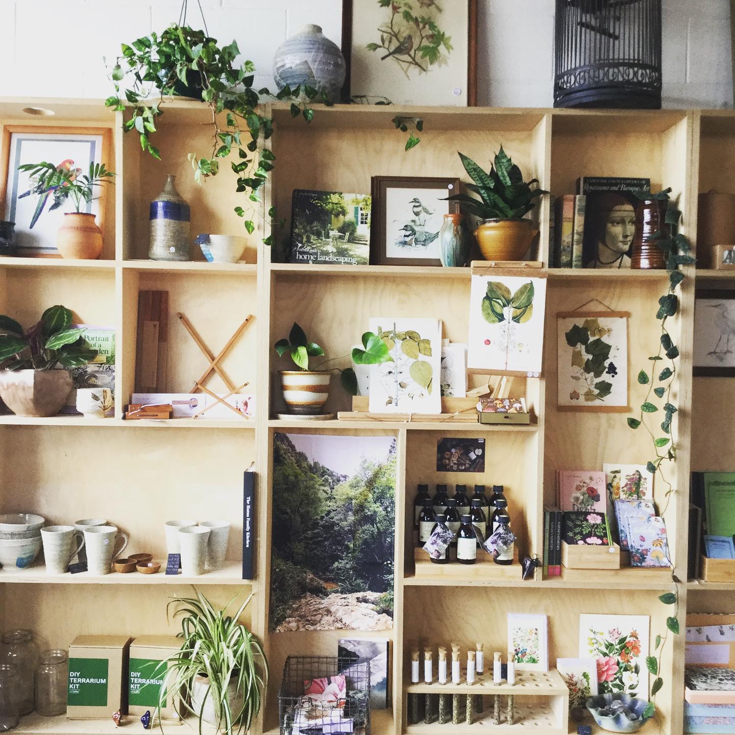 The White Rabbit Store | Tauranga