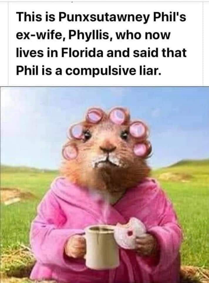 Pioneer Campground Punxsutawney Phil Predicts 6 More Weeks Of Winter Since His Accuracy Rate Is A Reported 39 Let S Hope Spring Arrives More Sooner Than Later Phil S Wife Isn T Taking The