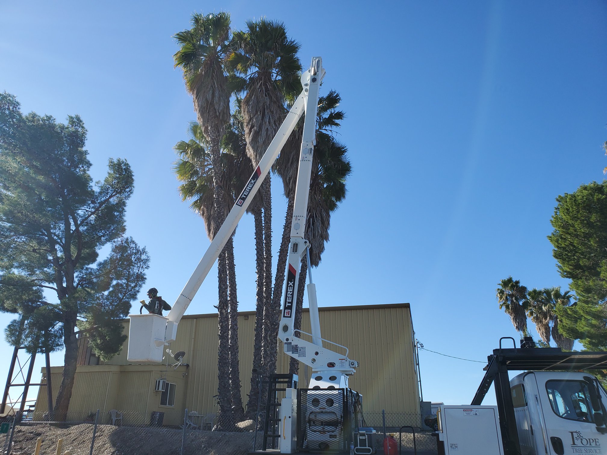 Pope Tree Service | Ramona CA