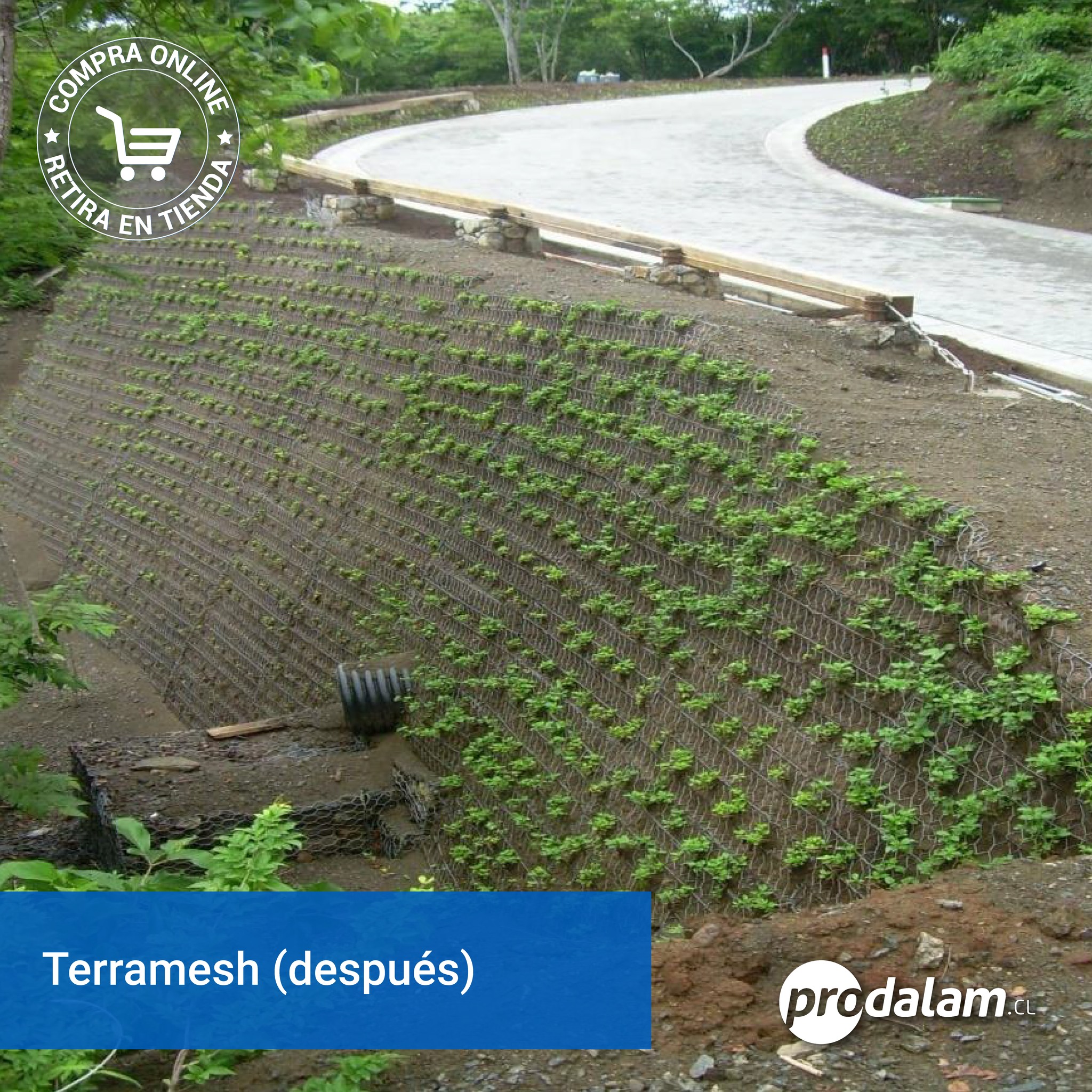 Prodalam - El sistema Terramesh® permite la construcción... | Facebook