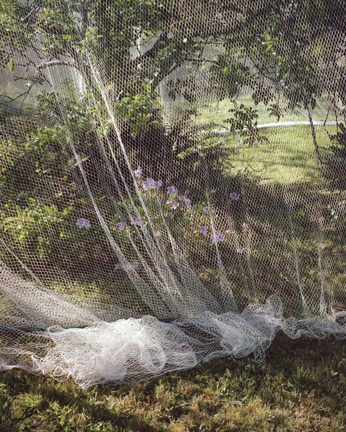 Tom Roe Photography