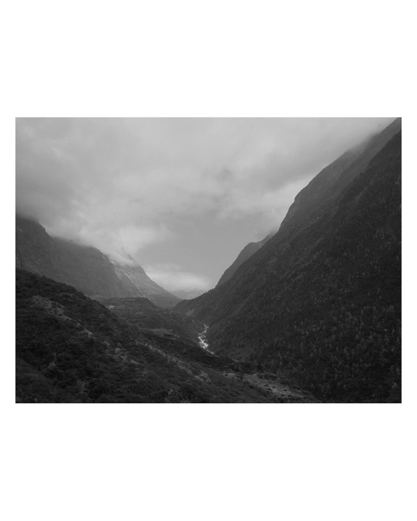 Tom Roe Photography