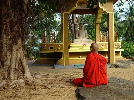 Maha... - Mahamevnawa Amadahara Buddhist Monastery - Pinnawala