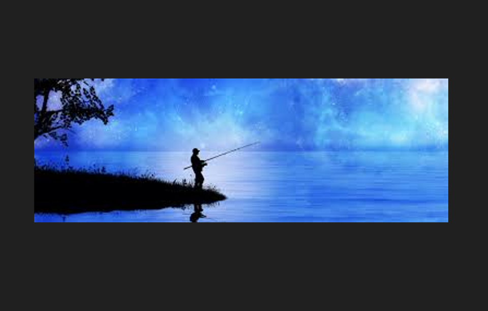 training the fish's mentality and instincts is very important | chana ...