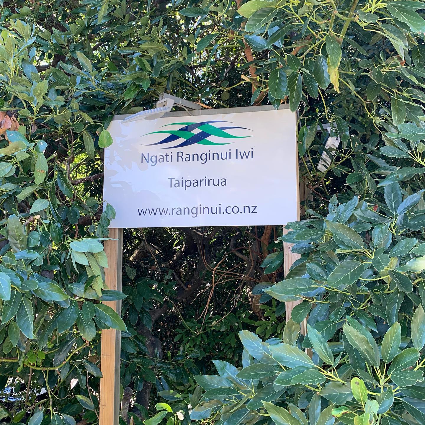 Wrap Lab Ltd - New signage down 9th ave. NGĀTI RANGINUI IWI ...