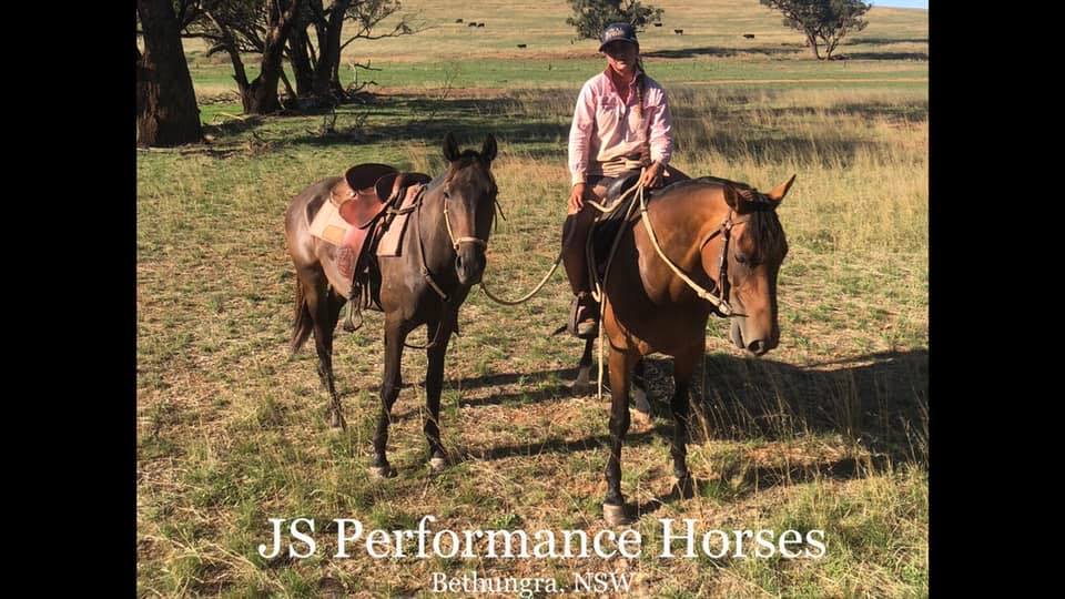 LEAKS Performance Horses