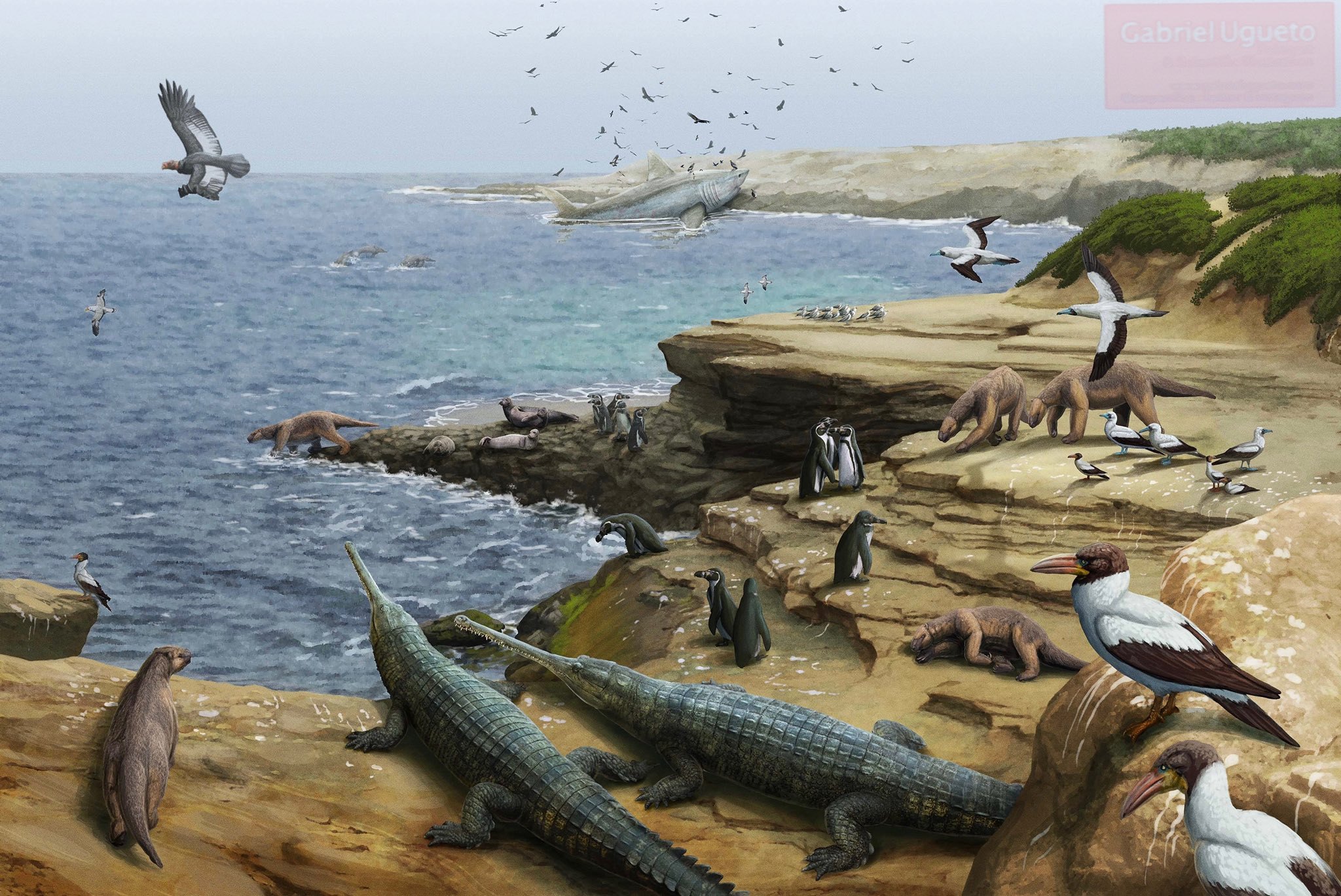 WORLD OF PREHISTORIC CREATURES | Just a regular day at a Late Miocene ...
