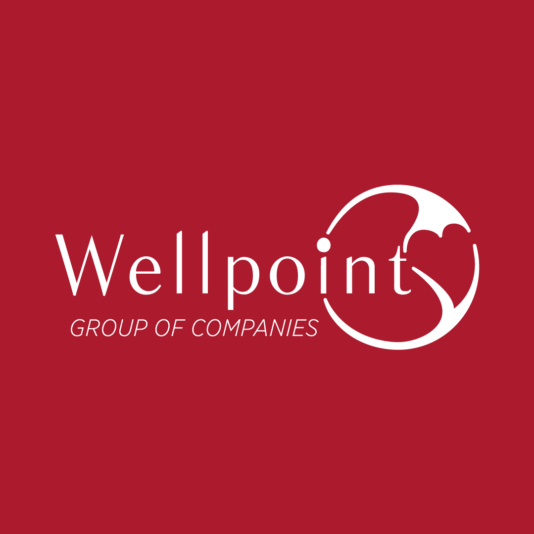 Wellpoint Şirketler Grubu... - Wellpoint Şirketler Grubu