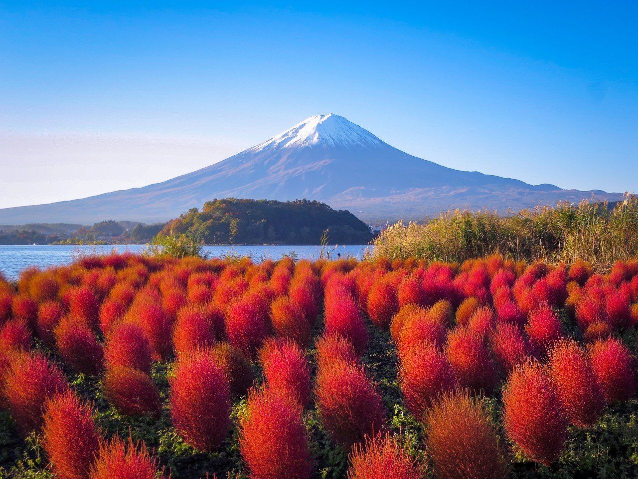Mount Fuji in autumn from Lake Kawaguchi in Yamanashi Prefecture